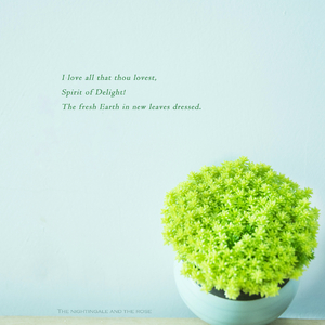 裸体裸乳被🍑学生
